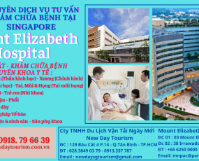 Dịch Vụ Hỗ Trợ Tư Vấn Khám Chữa Bệnh tại Singapore