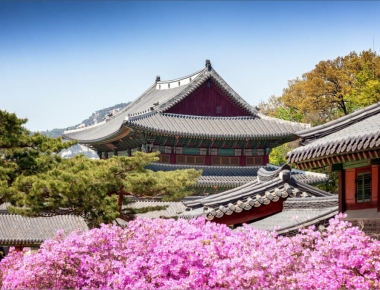 DU LỊCH MÙA ĐÔNG HÀN QUỐC (SEOUL – STARFIELD – LOTTE WORLD)