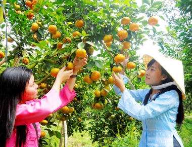 Cai Be Floating Market – Vinh Long 