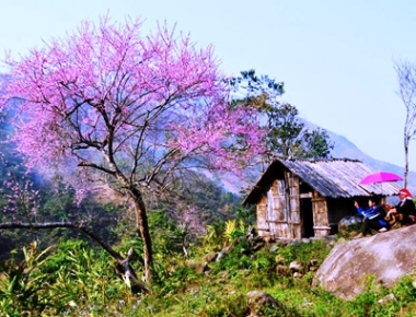 HÀ NỘI- NINH BÌNH- HẠ LONG- SAPA