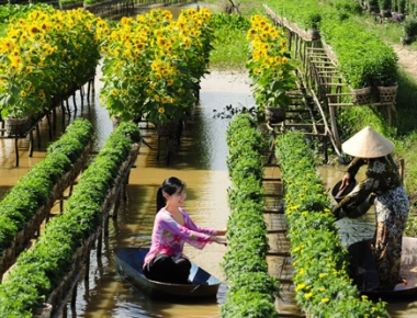 Mekong Delta Discovery – 3 days
