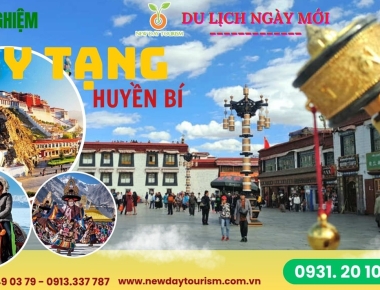 Hành Trình No Shop TÂY SONG BẢN NẠP