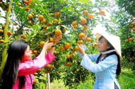 Cai Be Floating Market – Vinh Long 