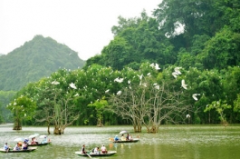 THAM QUAN DU LỊCH & KHÁM PHÁ TAM CỐC – THUNG NHAM