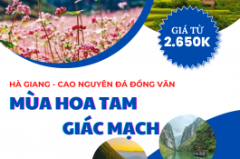 HÀ GIANG - CAO NGUYÊN ĐÁ - KHUỔI MI