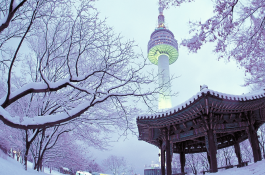 DU LỊCH MÙA ĐÔNG HÀN QUỐC (SEOUL – STARFIELD – LOTTE WORLD)