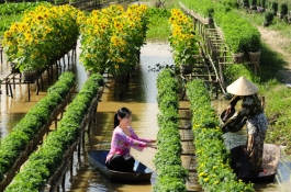 Mekong Delta Discovery – 3 days