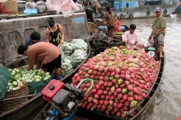 CAI BE FLOATING MARKET- AUTHENTIC HOMESTAY