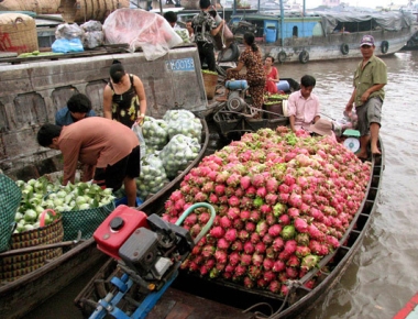 CAI BE FLOATING MARKET- AUTHENTIC HOMESTAY