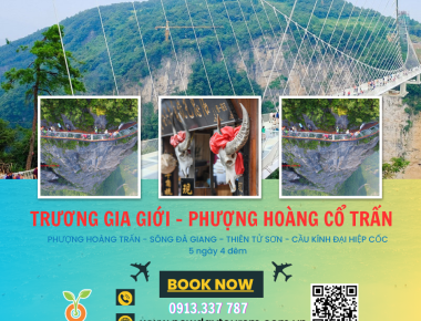 PHƯỢNG HOÀNG CỔ TRẤN - TRƯƠNG GIA GIỚI