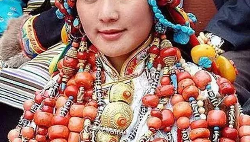 Hành Trình No Shop TÂY SONG BẢN NẠP