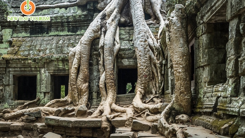 SIEM REAP ĐỂ NHỚ ĐỂ THƯƠNG