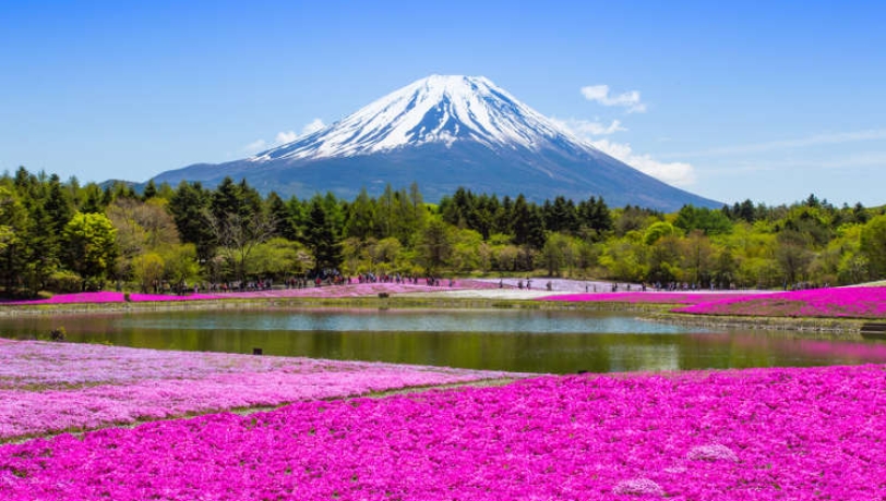 TOKYO – ASAKUSA - PHÚ SĨ  – KAWAKUCHI – HAKONE – ODAIBA