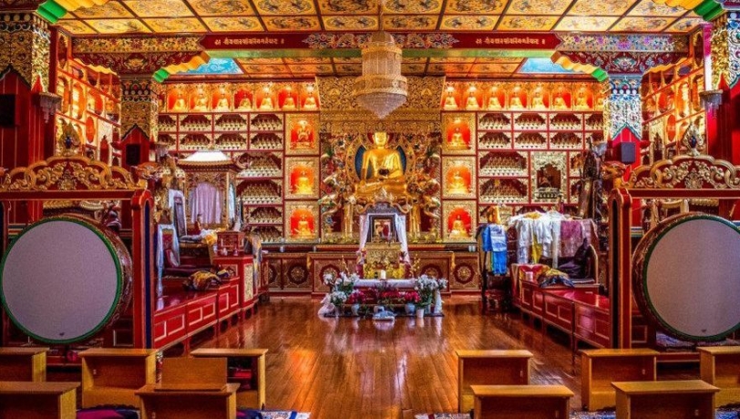 Hành Trình No Shop TÂY SONG BẢN NẠP